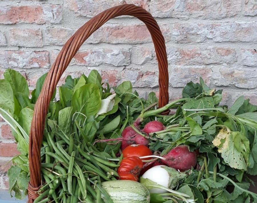 Cascina Angelina Βίλα Casteggio Εξωτερικό φωτογραφία
